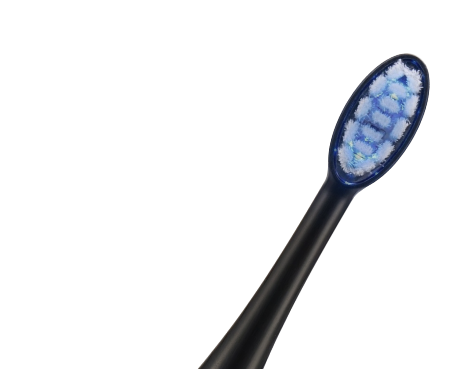 Blue Light toothbrush head