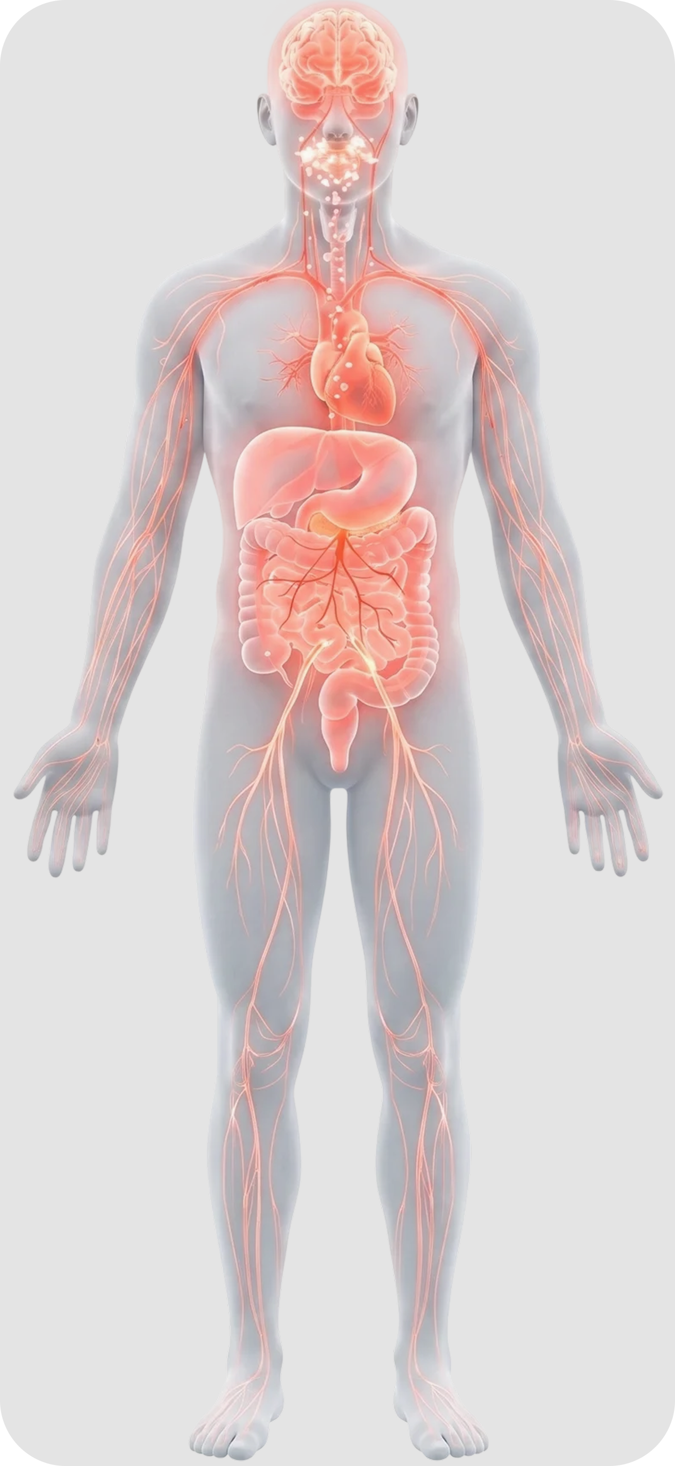 Inflammation balance